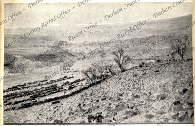 ref: D/DLI 7/602/16(149)