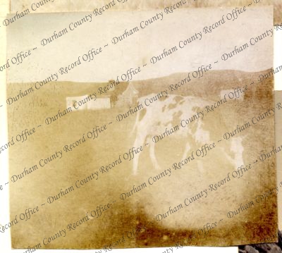 ref: D/DLI 7/602/16(168)