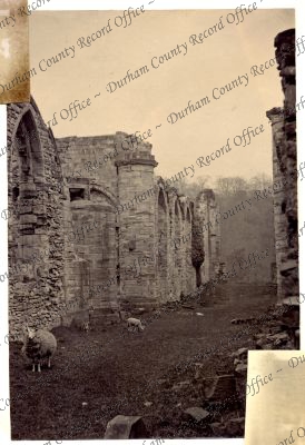 ref: D/DLI 7/602/16(169)