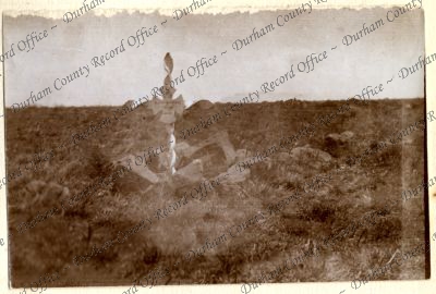 ref: D/DLI 7/602/16(179)