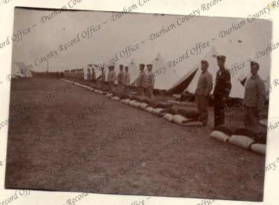 ref: D/DLI 7/602/16(204)