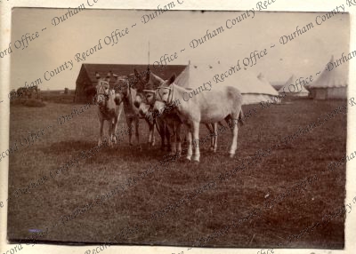 ref: D/DLI 7/602/16(247)