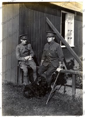 ref: D/DLI 7/602/16(281)