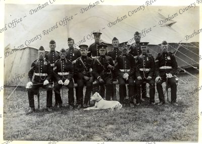 ref: D/DLI 7/602/16(311)