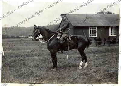 ref: D/DLI 7/602/16(312)