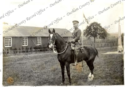 ref: D/DLI 7/602/16(313)