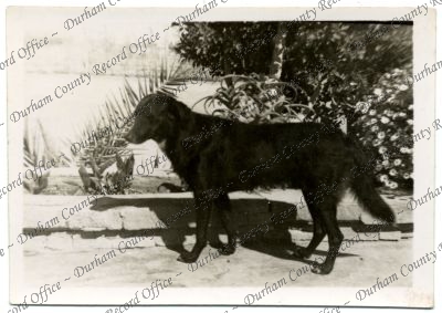 ref: D/DLI 7/616/123