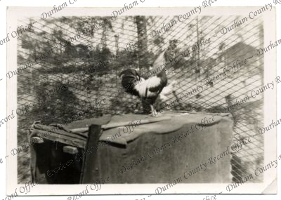 ref: D/DLI 7/616/126