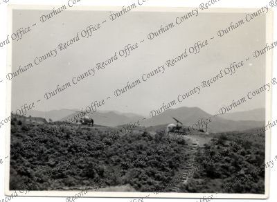 ref: D/DLI 7/616/211