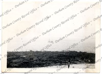 ref: D/DLI 7/616/219