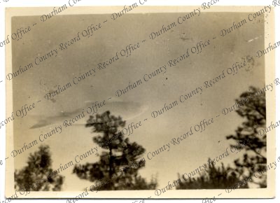 ref: D/DLI 7/616/230