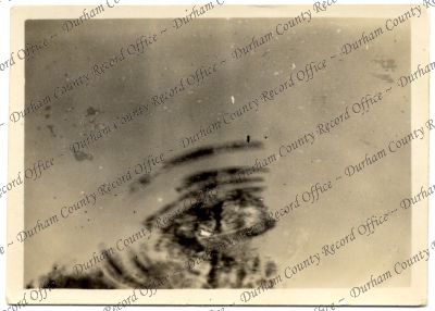 ref: D/DLI 7/616/231