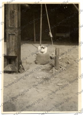 ref: D/DLI 7/616/233