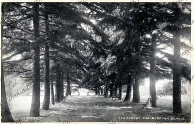 ref: D/DLI 7/618/2(21)