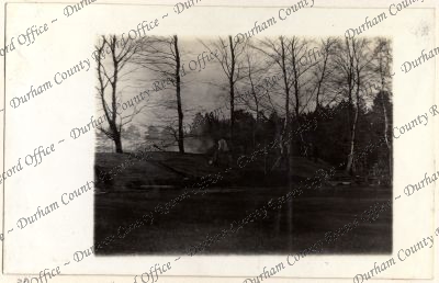 ref: D/DLI 7/618/2(30)