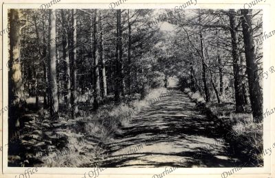 ref: D/DLI 7/618/2(34)