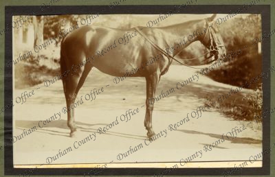 ref: D/DLI 7/618/3(19)