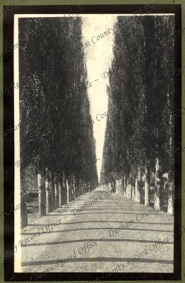 ref: D/DLI 7/618/3(20)