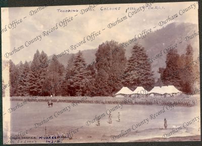 ref: D/DLI 7/631/1(31)