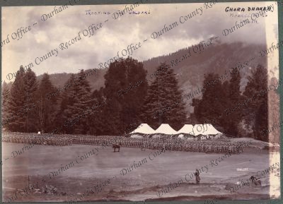 ref: D/DLI 7/631/1(34)