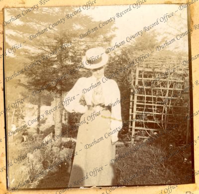 ref: D/DLI 7/639/4(50)