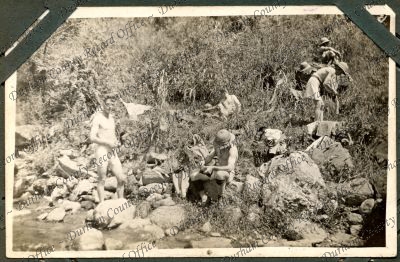 ref: D/DLI 7/646/2(38)