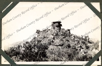 ref: D/DLI 7/646/2(55)