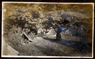 ref: D/DLI 7/662/2(13)