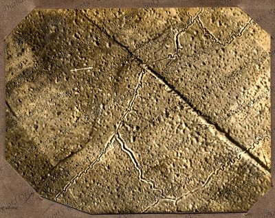 ref: D/DLI 7/662/2(117)