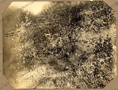 ref: D/DLI 7/662/2(123)