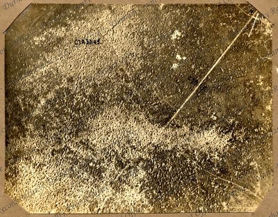 ref: D/DLI 7/662/2(126)