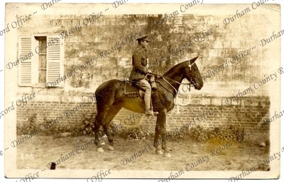 ref: D/DLI 7/701/2(81)