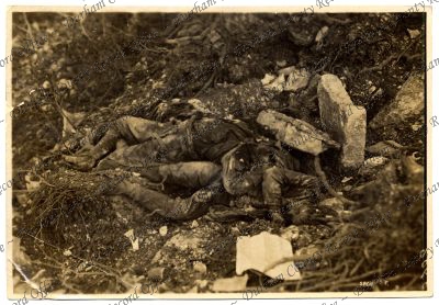 ref: D/DLI 7/701/2(94)