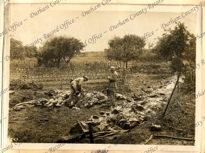 ref: D/DLI 7/701/2(98)