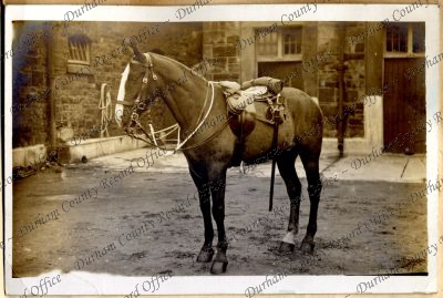 ref: D/DLI 7/701/2(110)