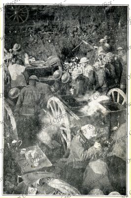 ref: D/DLI 7/731/35(16)