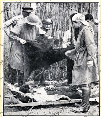 ref: D/DLI 7/731/35(22)