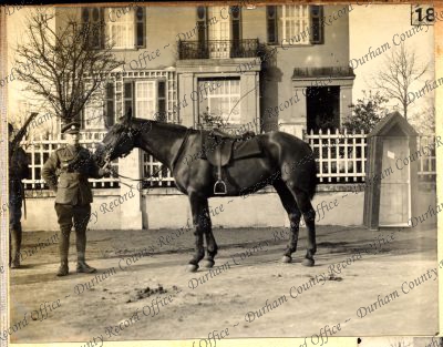 ref: D/DLI 7/752/11(17)