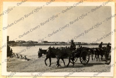 ref: D/DLI 7/752/11(52)