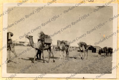 ref: D/DLI 7/752/11(55)