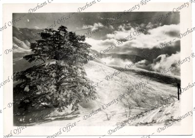 ref: D/DLI 7/756/74(1)