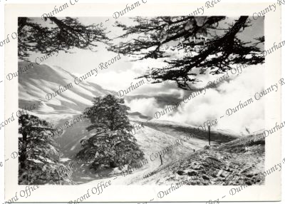 ref: D/DLI 7/756/74(2)