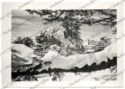 ref: D/DLI 7/756/74(4)