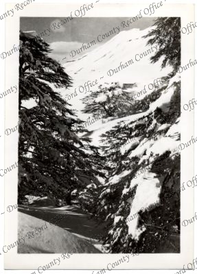 ref: D/DLI 7/756/74(8)