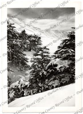 ref: D/DLI 7/756/74(10)