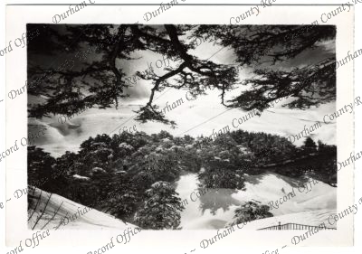 ref: D/DLI 7/756/74(11)