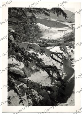 ref: D/DLI 7/756/74(12)