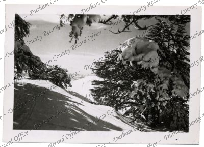 ref: D/DLI 7/756/74(13)