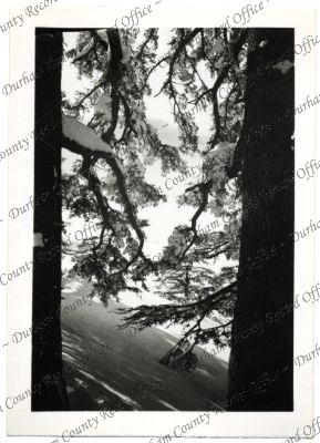 ref: D/DLI 7/756/74(14)