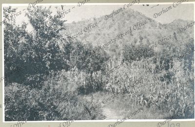 ref: D/DLI 7/762/1(109)